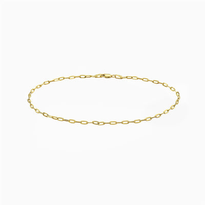 Paperclip Chain Anklet