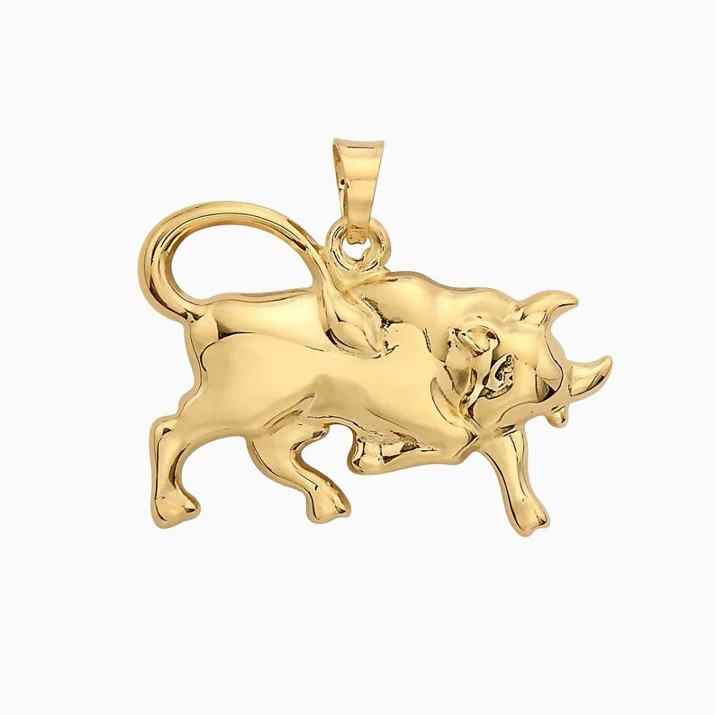 14K GOLD ZODIAC SIGN CHARMS