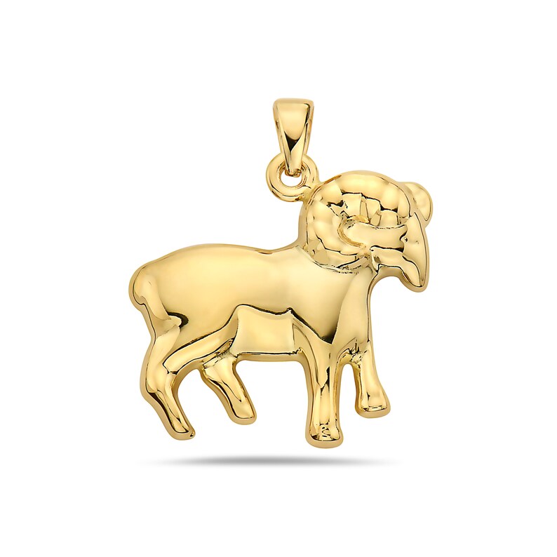 14K GOLD ZODIAC SIGN CHARMS